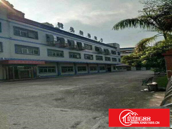 茶山标准小独院厂房出租