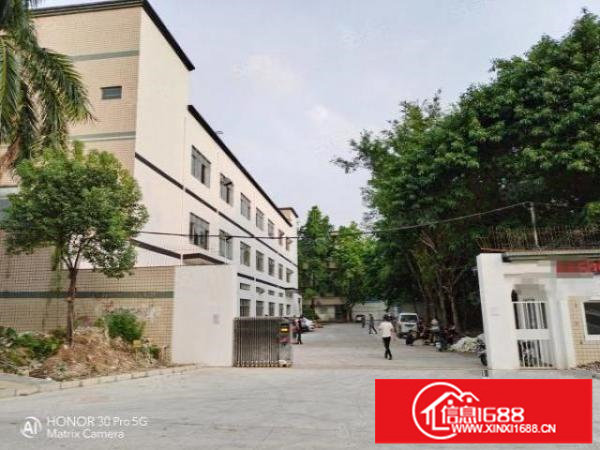 观澜库坑全新装修二楼精装450平厂房可拎包入驻空地大。