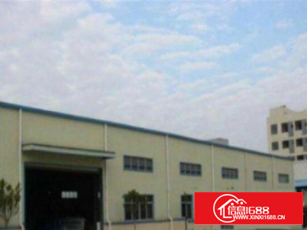 万江环城路以外独院单一层厂房2500平方出租