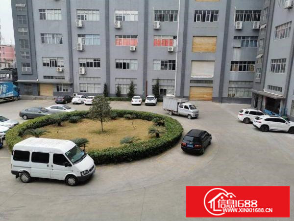 官井头新出花园式厂房一楼整层1200平米出租6米高水电齐全