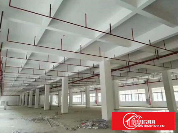 原房东全新楼房带喷淋7500