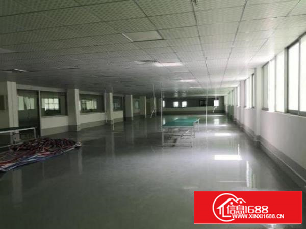 卢边楼上1300平米带豪华精装修厂房出租