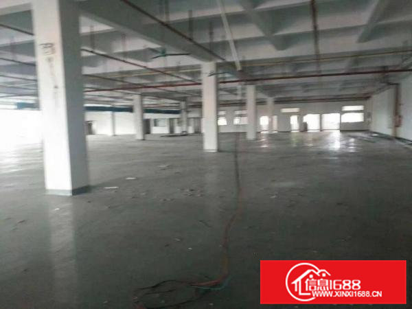 企石镇花园式厂房分租一层2200平方出租，消防合格