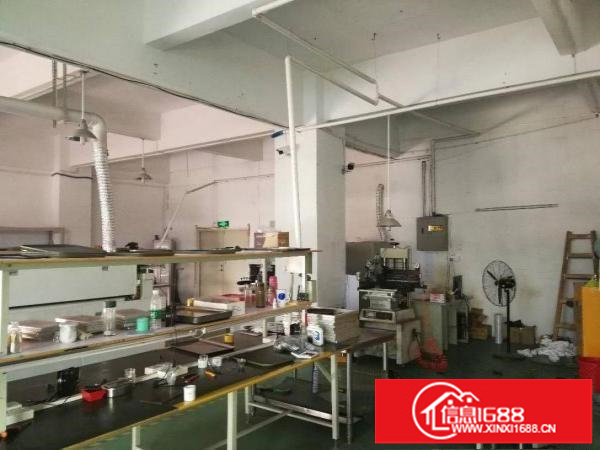 坂田上雪科技园280平540平1300厂房仓库招租