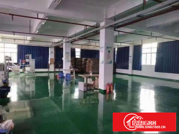 塘厦新出独栋2600平标准厂房出租