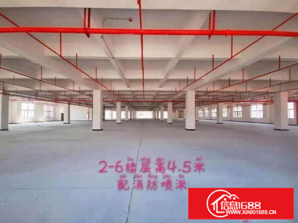 花园式全新重工厂房，免租6个月。特价招租