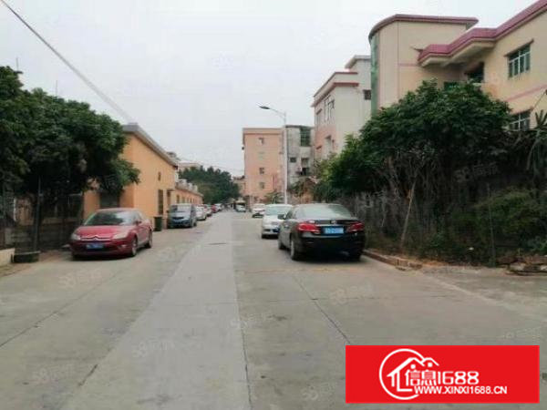 东莞桥头原房东标准楼上整层1200平现成装修水电齐全地坪漆