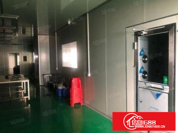 桥头新出AAA级无尘车间，全新装修，中央空调，水电齐全