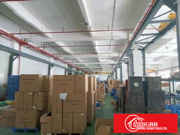 东莞凤岗五联1楼3900平