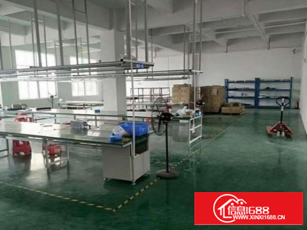 孙屋刚刚空出来楼上300精装修厂房出租