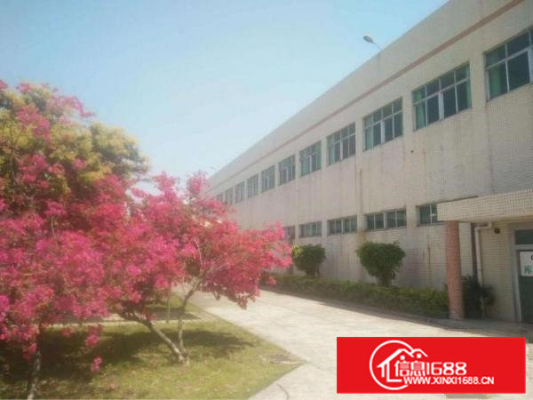 清溪近塘厦原房东标准厂房2600平方低价急租