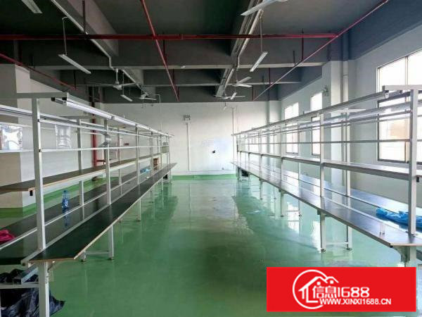 电子厂房带装修出租楼上700平米流水线台办公室在凤岗雁田