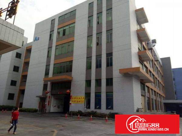 石排新出标准厂房一楼1800平方米火爆招租