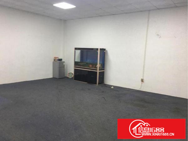 龙西新出原房东一楼厂房720平出租水电齐全带办公室