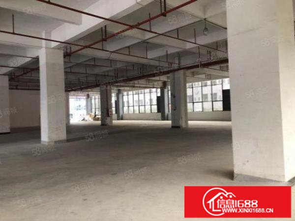 横岗新出原房东一楼500至1000平方招租