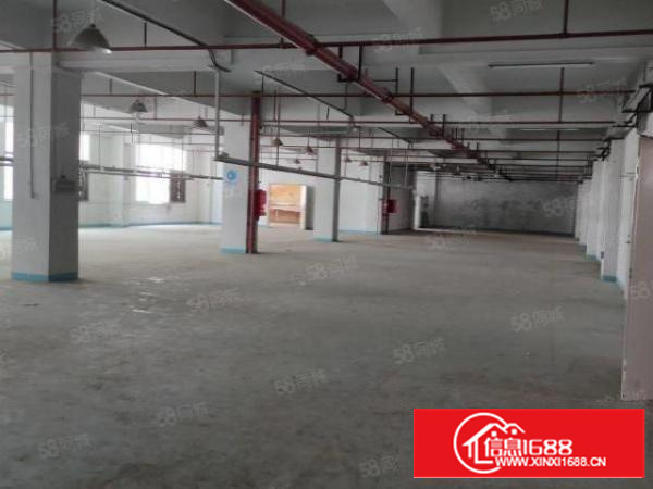 石碣三村第四工业区10000平方200平起租无公摊带环评精装