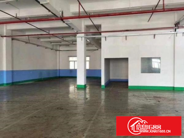 原房东分租一楼1050方