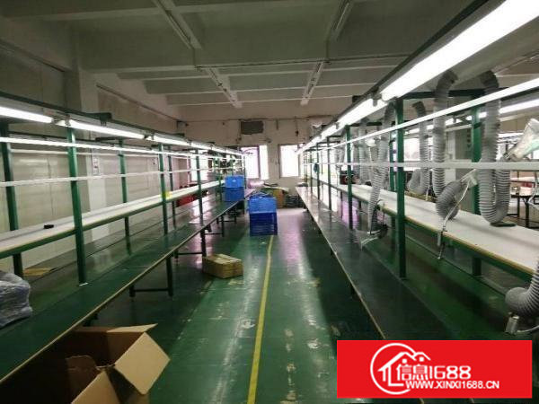 坂田上雪科技园厂房仓库800平700平带地坪漆装修