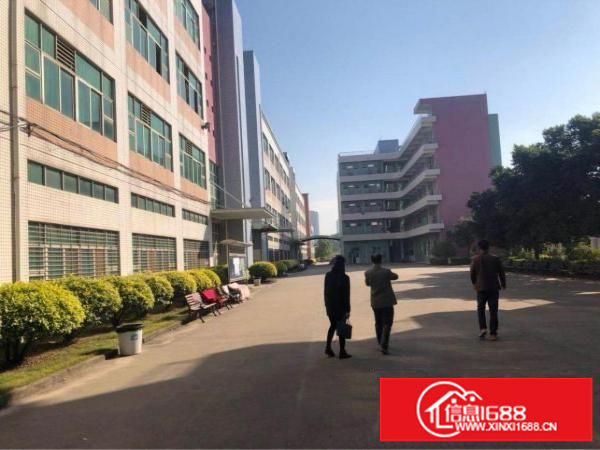 坑梓独门独院8000平招租