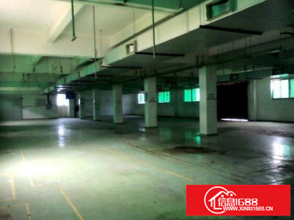 民治万众城附近一楼330.550.800平方厂房