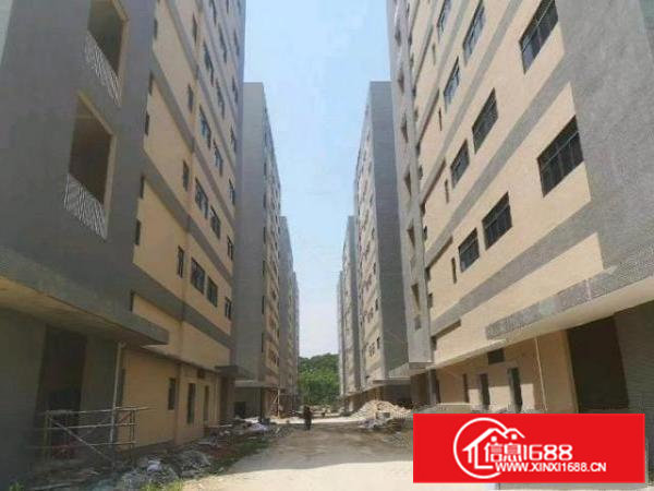 企石周边重工业标准厂房出租