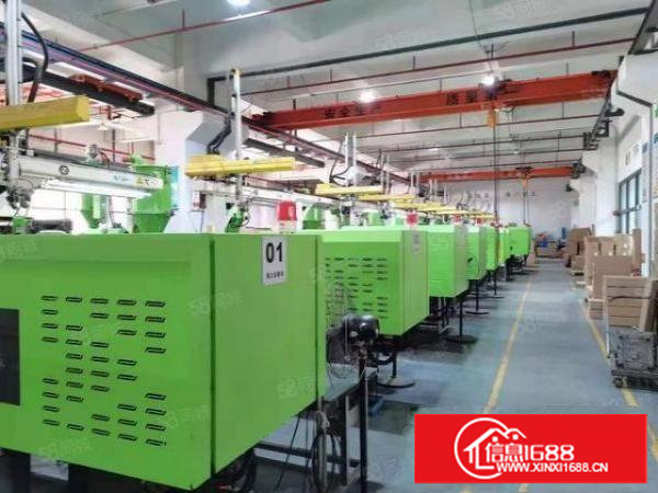 长安镇新出客户分租一楼1200平米出租，图片实拍，快空出