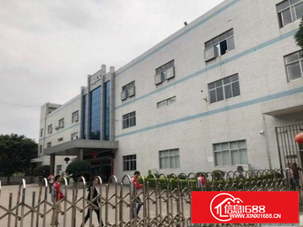 横沥工业区标准一楼1000方，带办公室，地坪漆和消防喷淋拎包