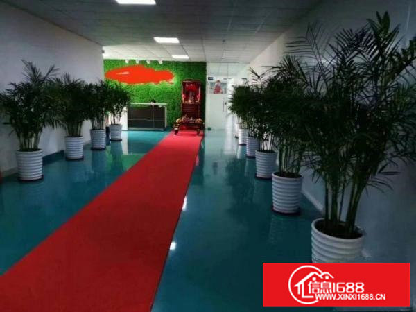 东莞市大朗镇1200平无尘车间厂房出租适合口罩