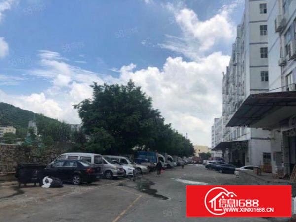 石岩塘头新出1楼375平厂房，可以进大车，适合各种行业。