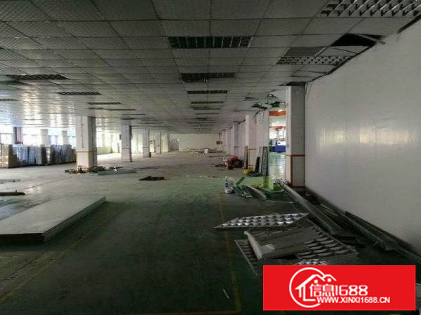 松岗碧头1500平精装厂房出租,公摊面积小,实图