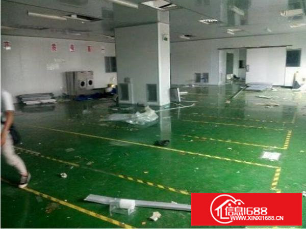 豪华装修，带办公室布吉深马工业区楼上厂房580㎡出租