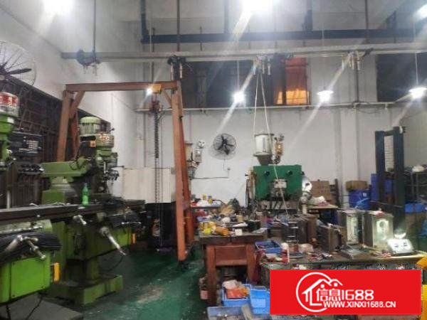 雁田带装修一楼260平