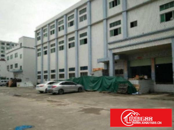 万江谷涌新出一楼标准厂房1723平带豪华装修