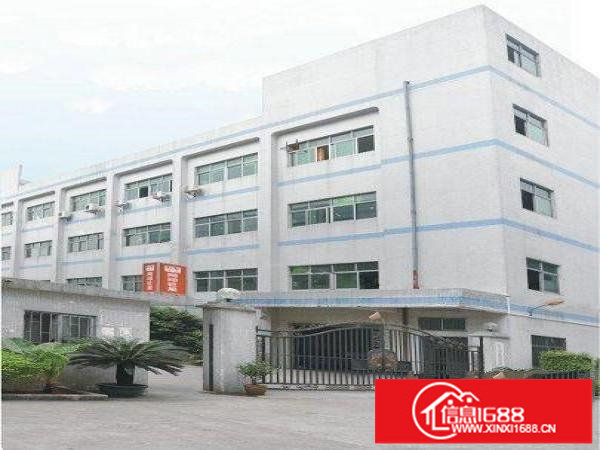 松岗107国道大田洋3路14层6800平招租