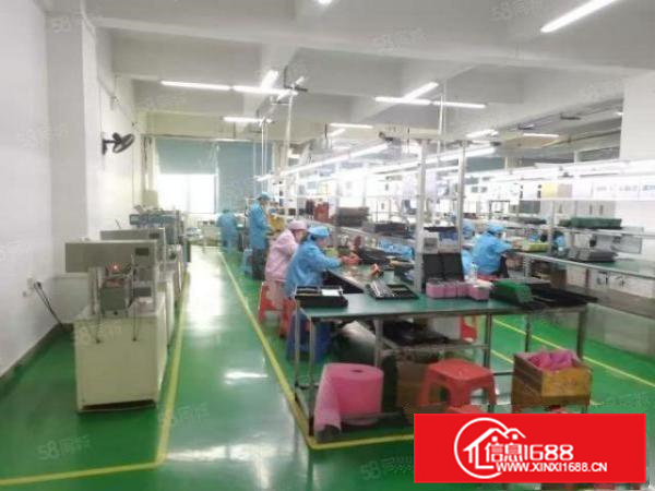 塘厦靠凤岗新出带地坪漆精装修1000平方厂房出租，价格好谈