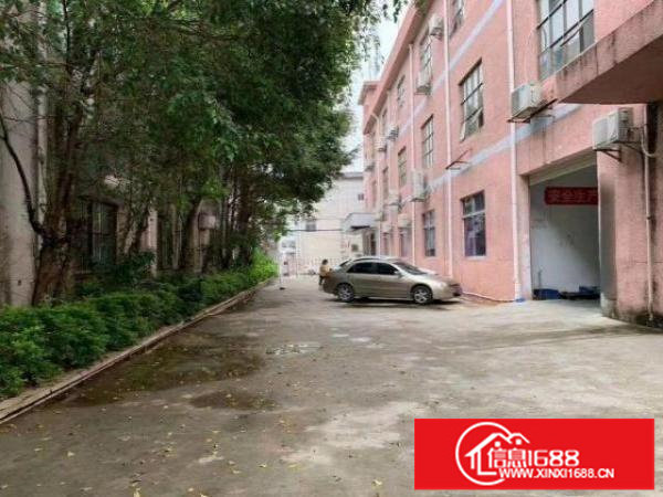 福永凤凰原房东独院厂房3600平带豪华装修