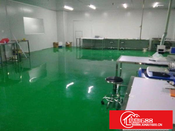 龙岗坪地新出楼上1500平无尘车间带豪华办公室