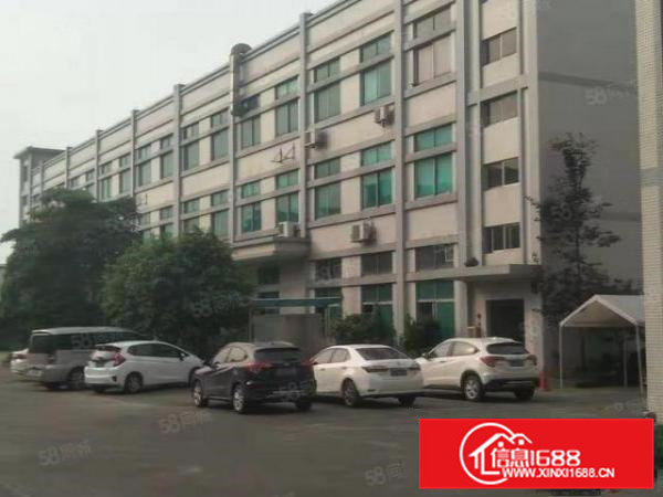 企石镇新出原房东超靓标准厂房实量面积5500平，超大空地