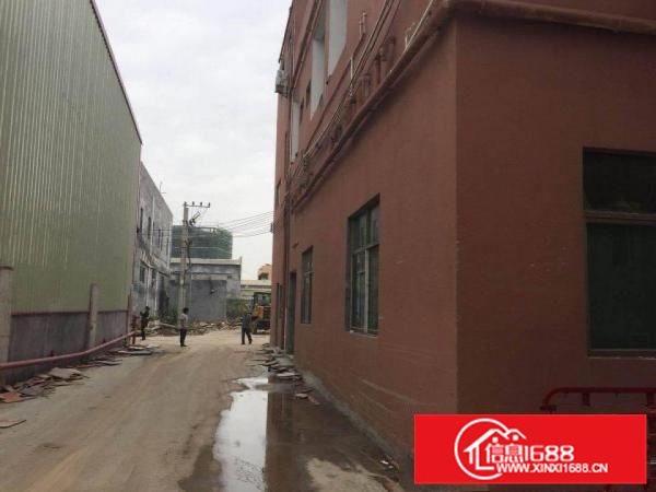 惠州镇隆滴水9米钢构厂房招租