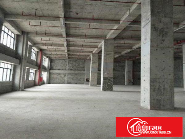 坂田1000平红本产权厂房出租健康科技园孵化器，层高8.5米