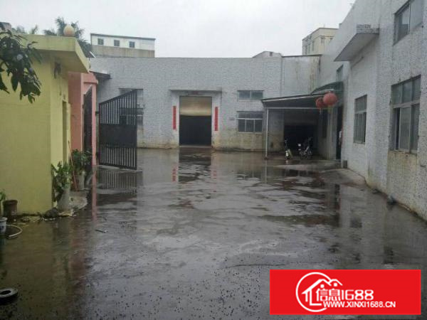 惠阳秋长3000平带装修独院钢构高8米可做污染