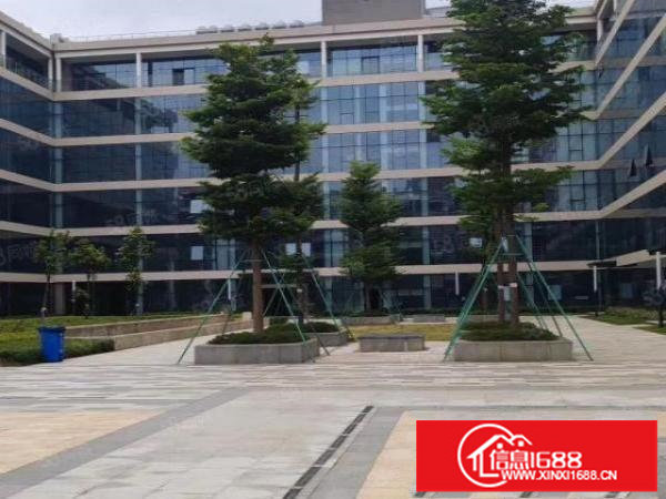 项目直租（光明红本30000平方）房东出租大小可分