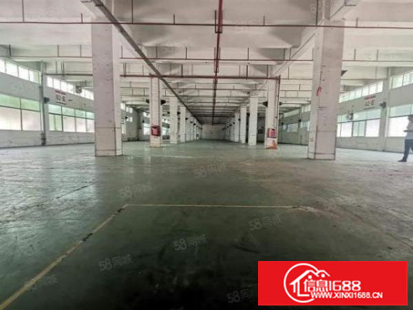 深圳坪山聚龙山3000平米一楼厂房出租，高6.5米，可以分租