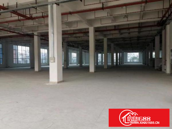 沙头全新自建厂房出租