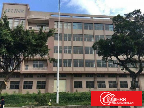 石排镇国有红本全新厂房招租