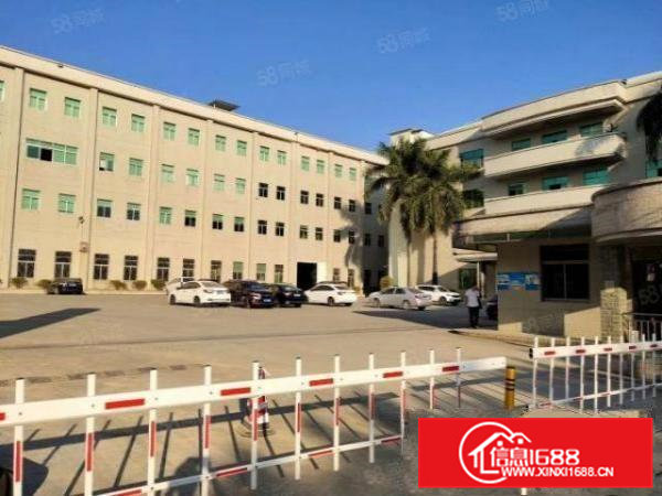 清溪三中村新出一楼2000平标准厂房出租水电齐全