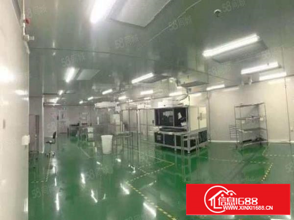 寮步华南城全新高新产业园厂房出租可办环评大小可分租