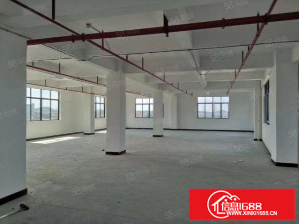 石排新出经典独院厂房可整可分租，4000平大空地，位置非常好