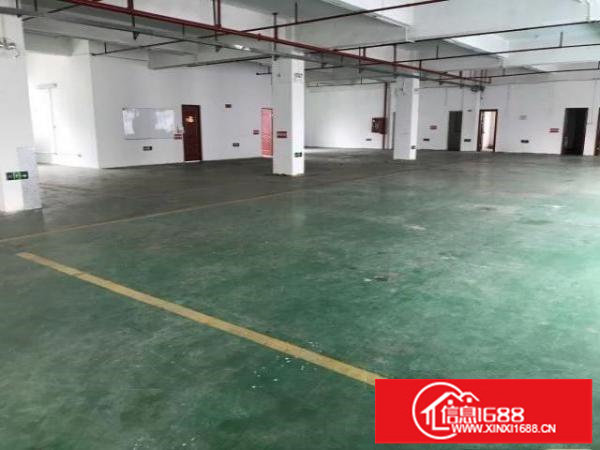 坪山大工业区新出1100平精装红本厂房出租