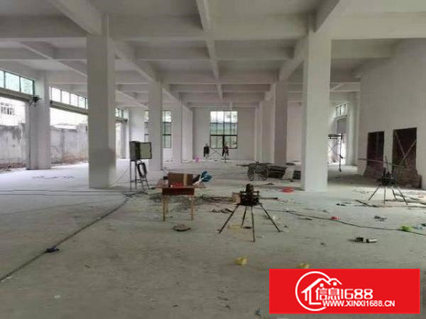 大岭山原房东550平小面积无尘车间独栋独院标准厂房出租